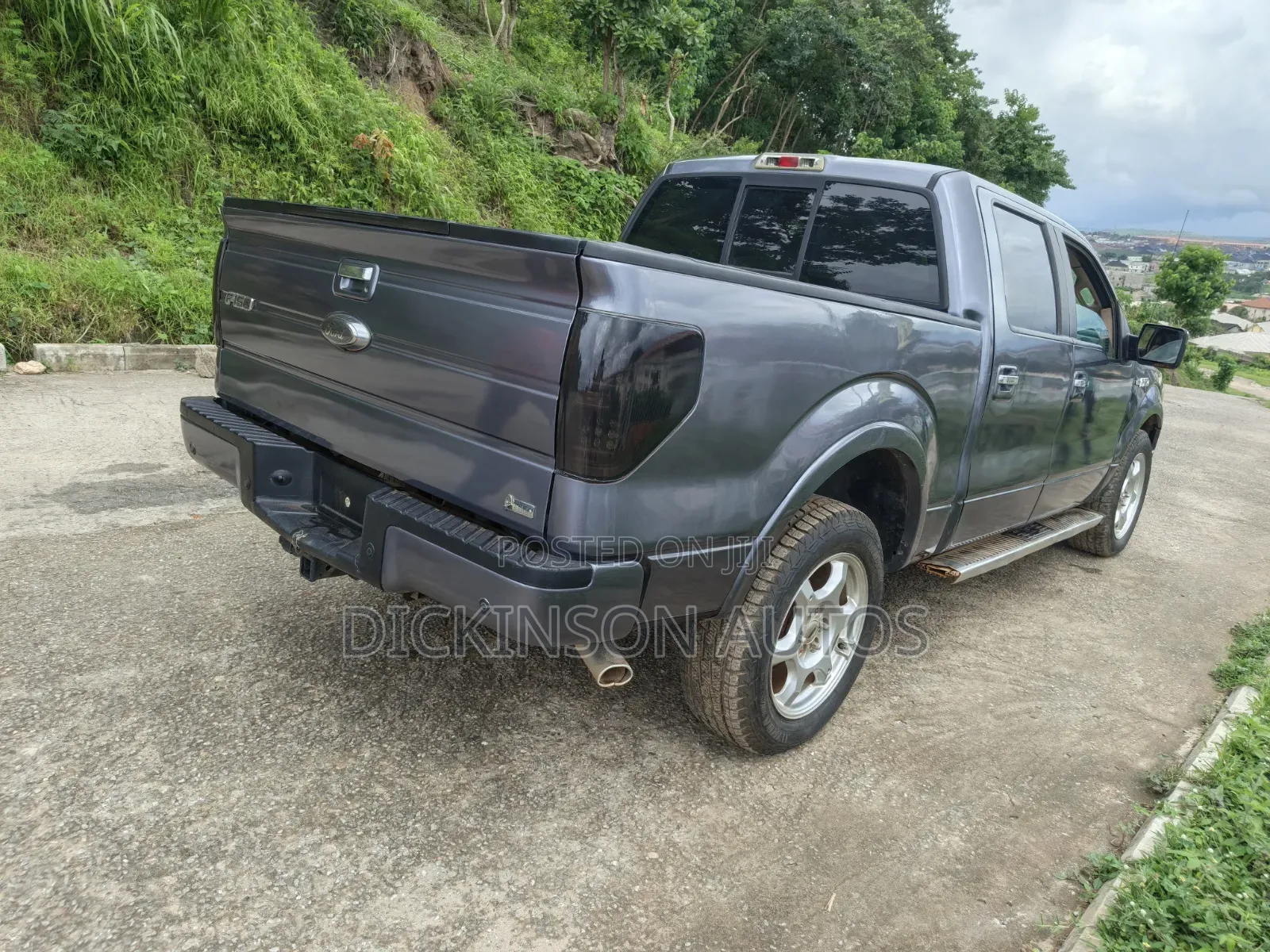 Ford F-150 2010 Gray