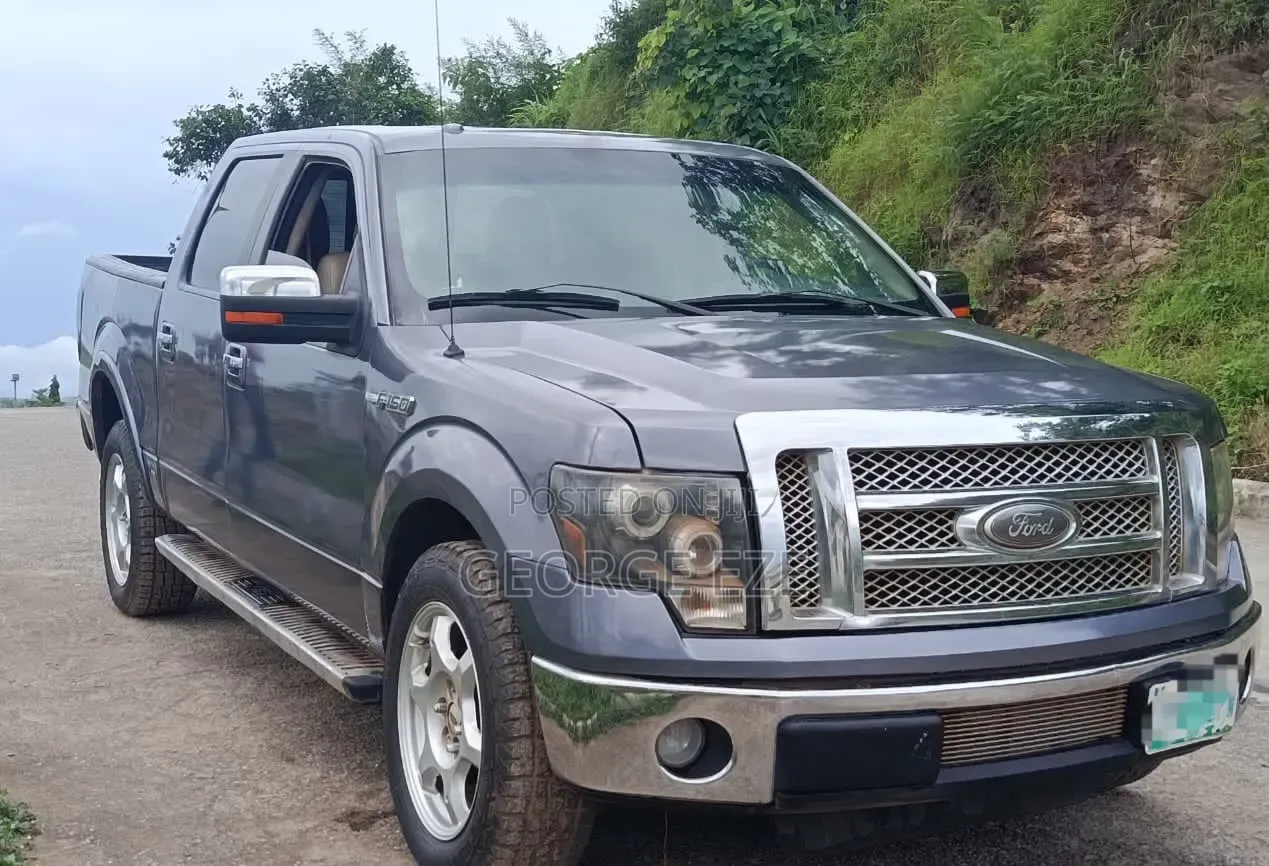 Ford F-150 2010 Gray