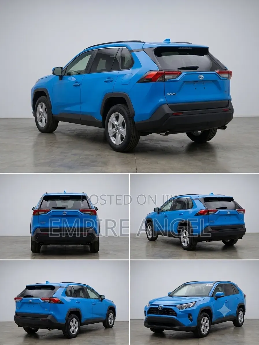 Toyota RAV4 LE AWD 2019 Blue