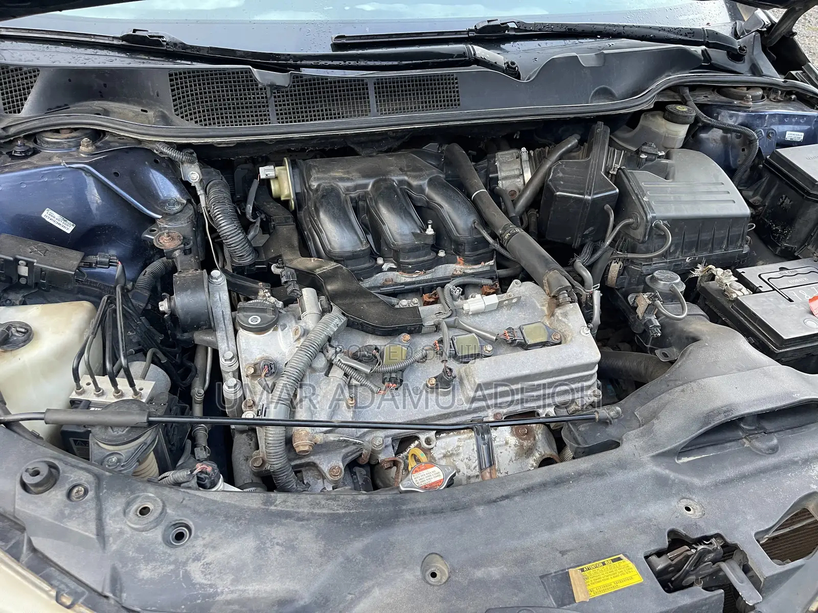 Toyota Venza 2010 Blue