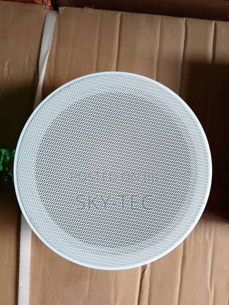 Original Eagle 25watts Ceiling Speakers