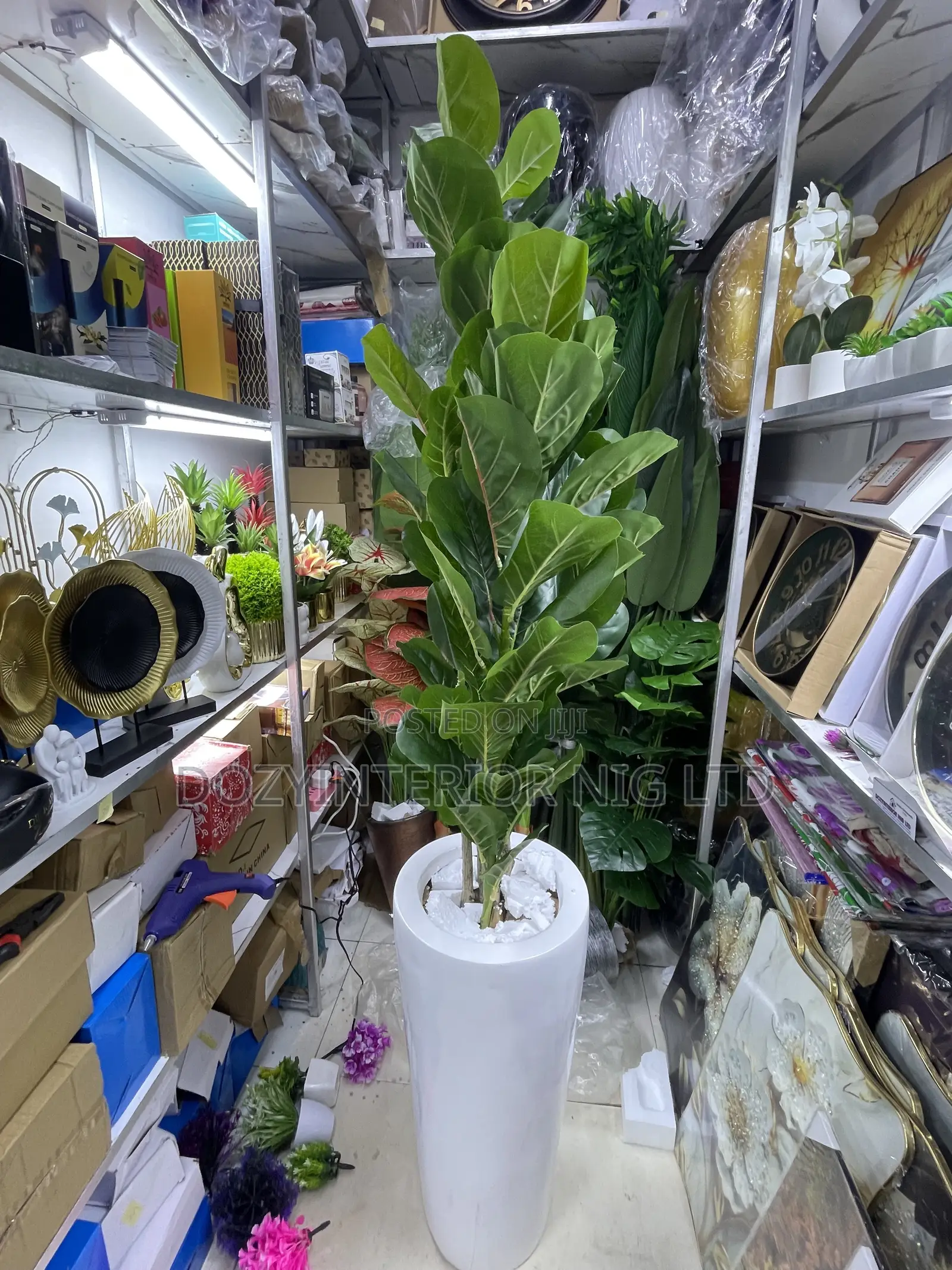 Evergreen Flower With Pot