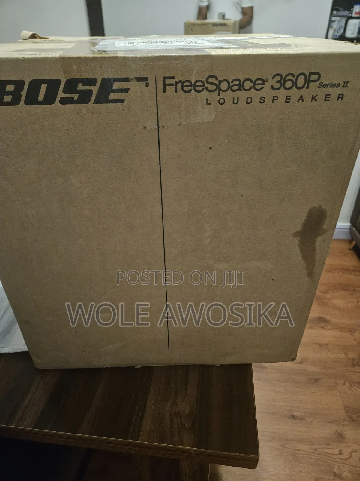 Bose Professional FreeSpace 360P Series II 360 Garden Speakers Single