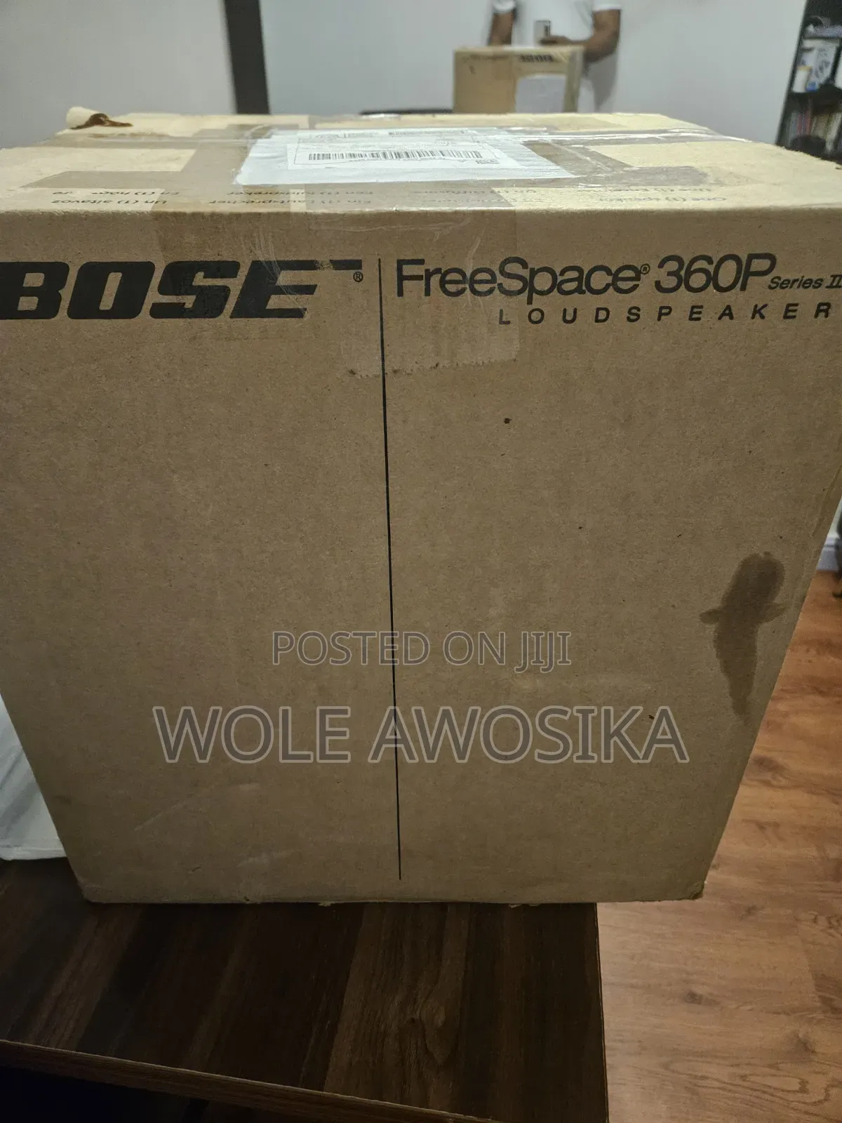 Bose Professional FreeSpace 360P Series II 360 Garden Speakers Single