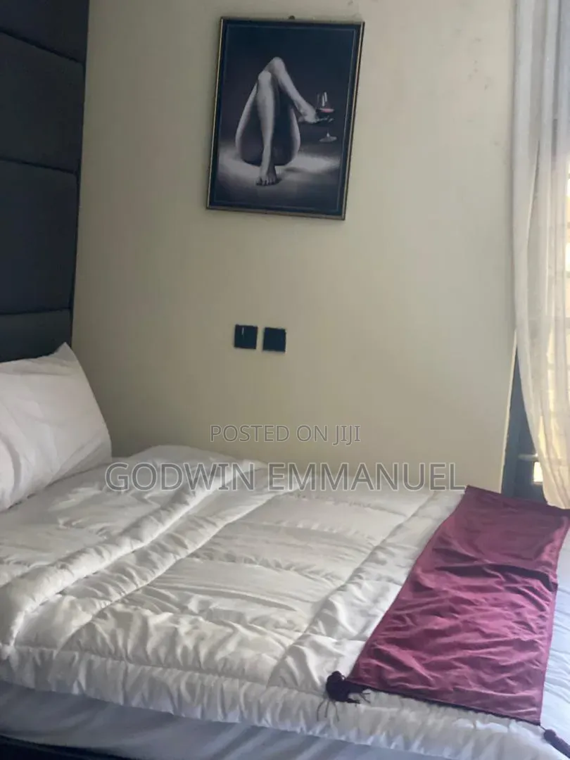 Furnished 1bdrm Apartment in Citizen, Dawaki for rent