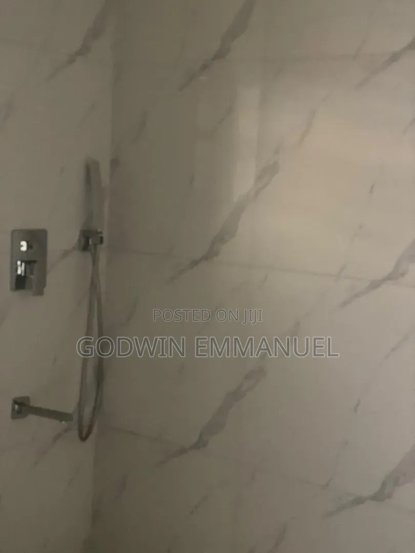 Furnished 1bdrm Apartment in Citizen, Dawaki for rent