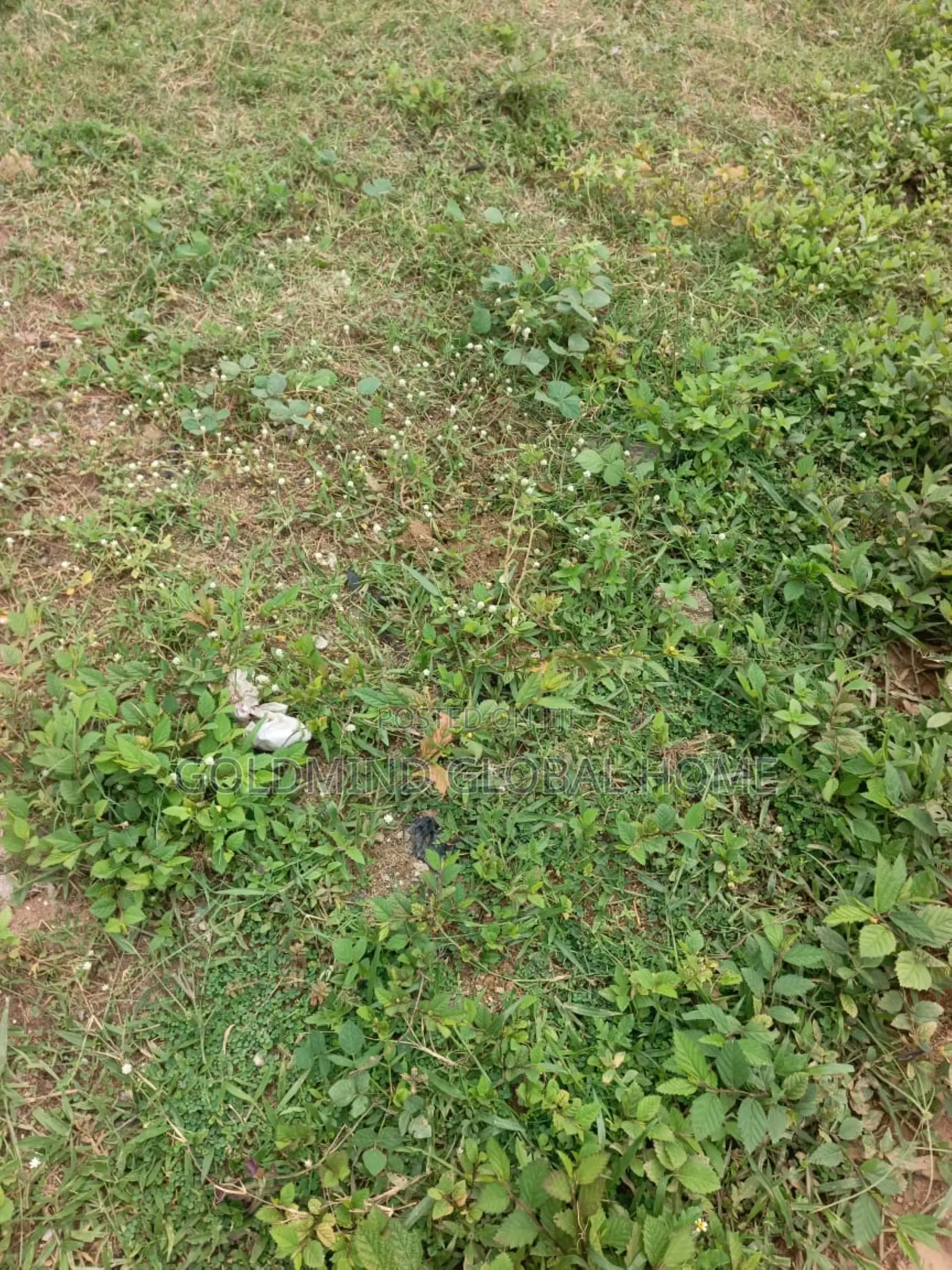 Size: 9,922 Sqm. Commercial Land for Sale in Gudu Abuja – Nigeria.