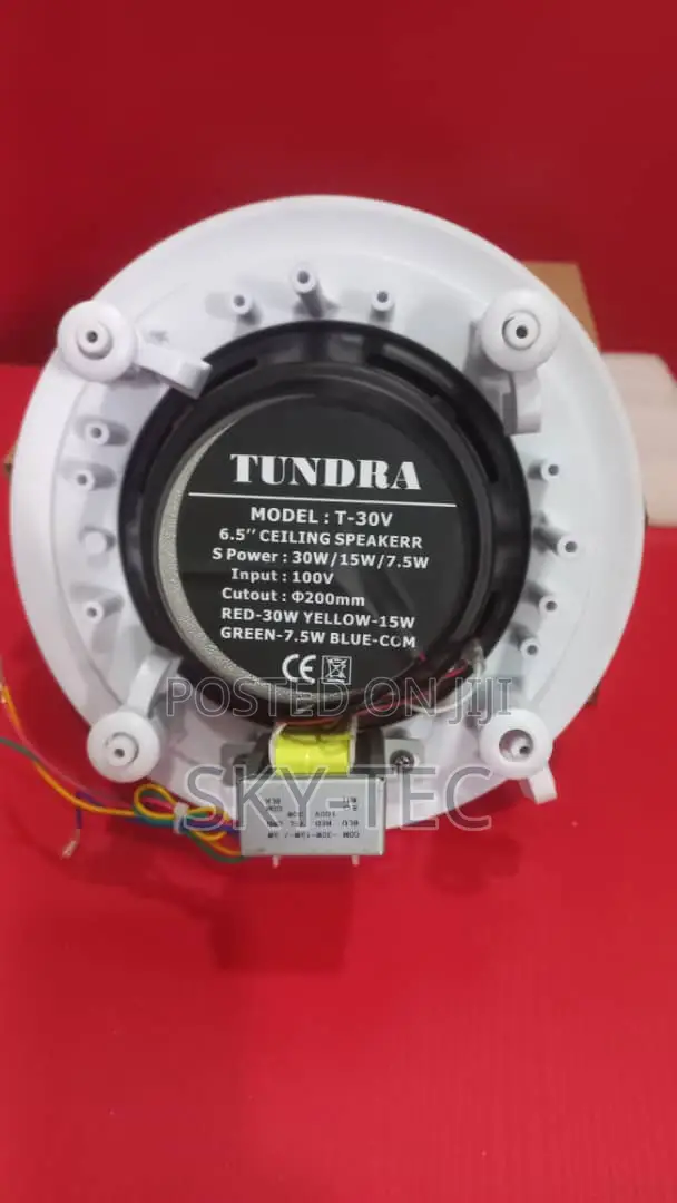Tundra 30watts Ceiling Speakers