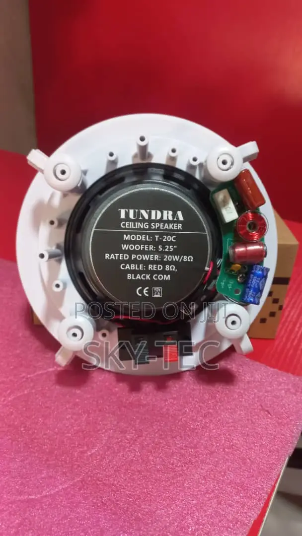 Tundra 20watts Passive Ceiling Speaker