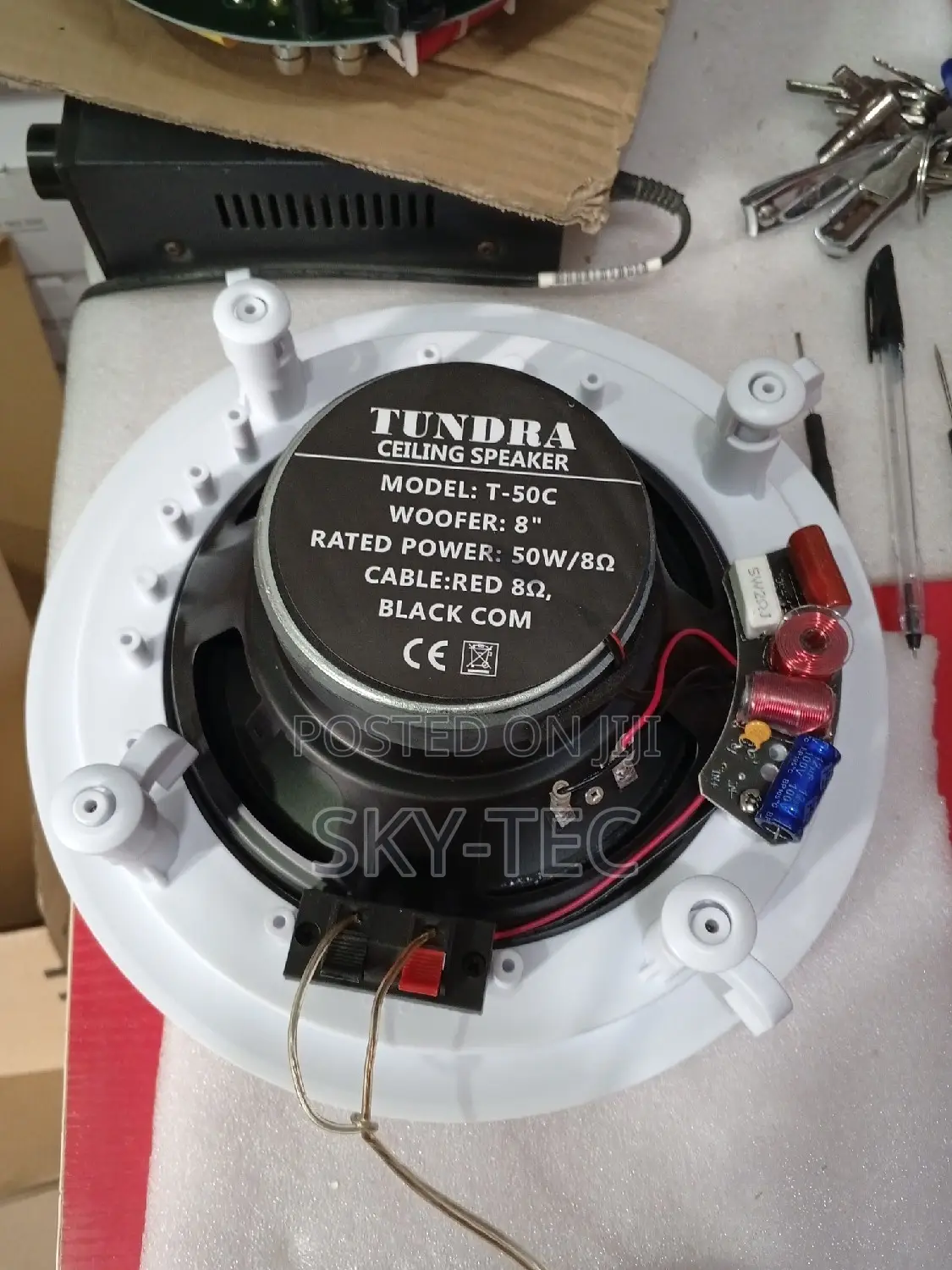 Tundra 50watts Passive Ceiling Speaker