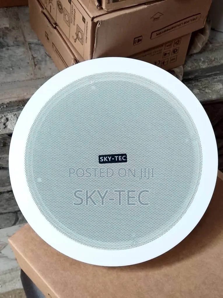 Sky-Tec 100watts Passive Ceiling Speaker 8inches Woofer Magnet