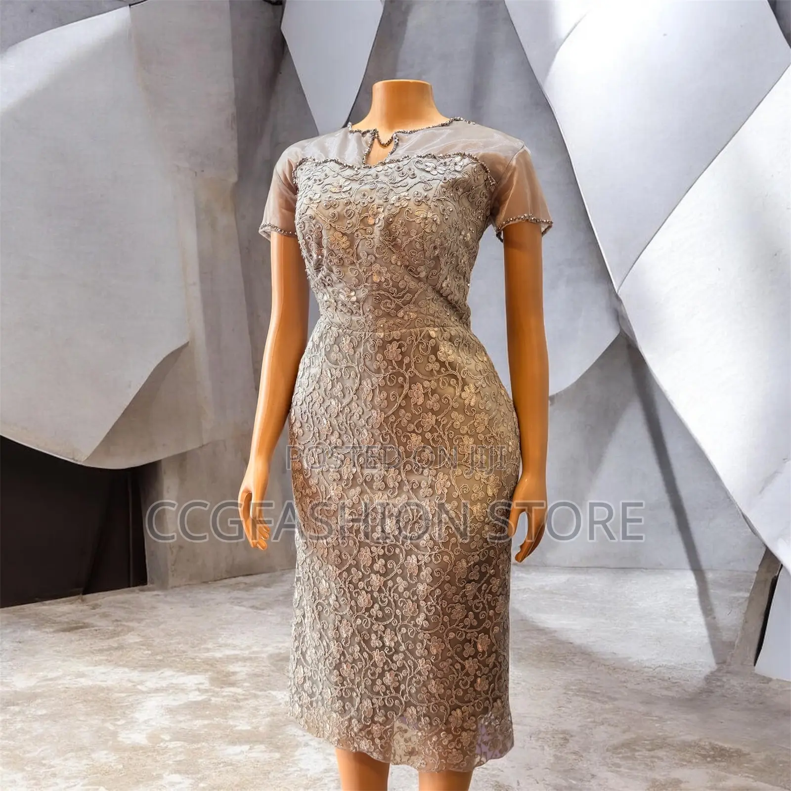 Beautiful Lace Gown
