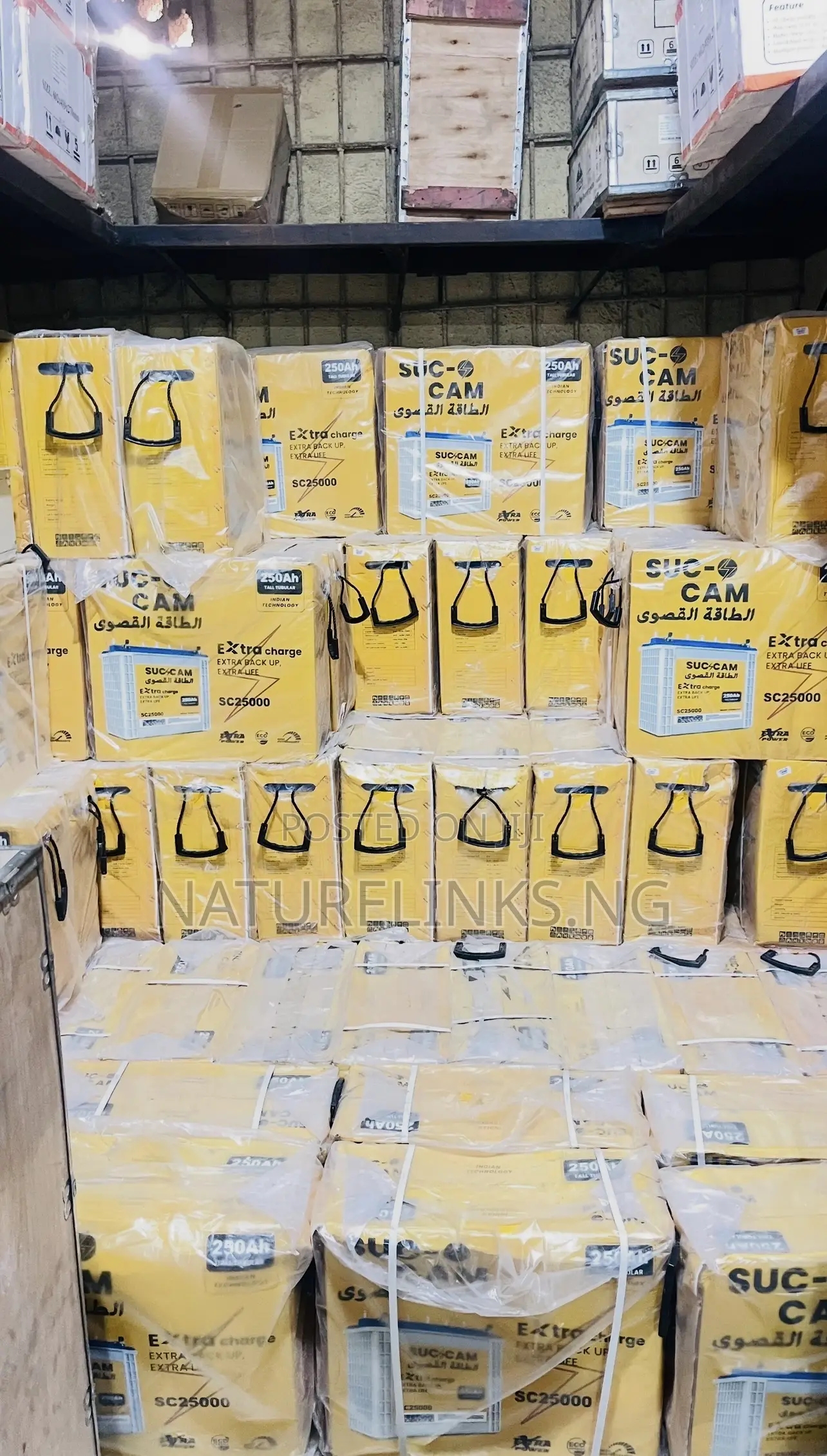 250Ah Succam Indian Tubular Battery