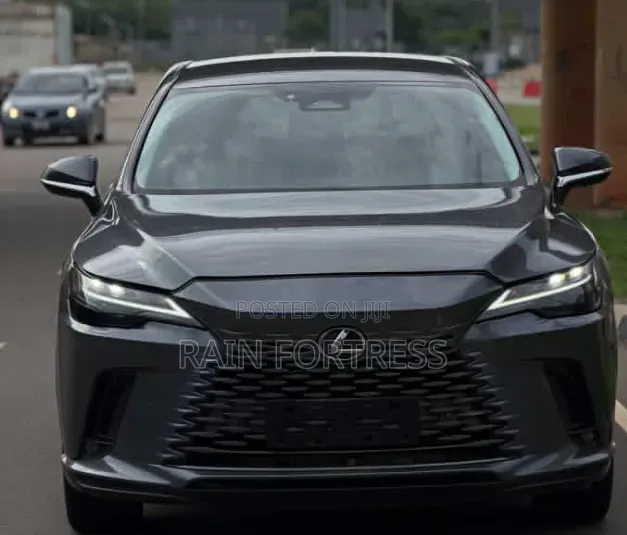Lexus RX 2022 Gray
