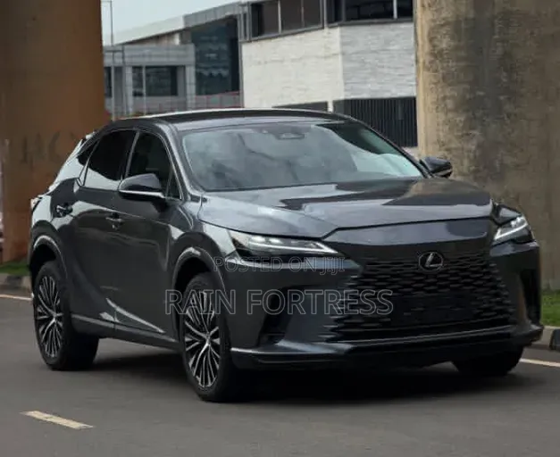 Lexus RX 2022 Gray