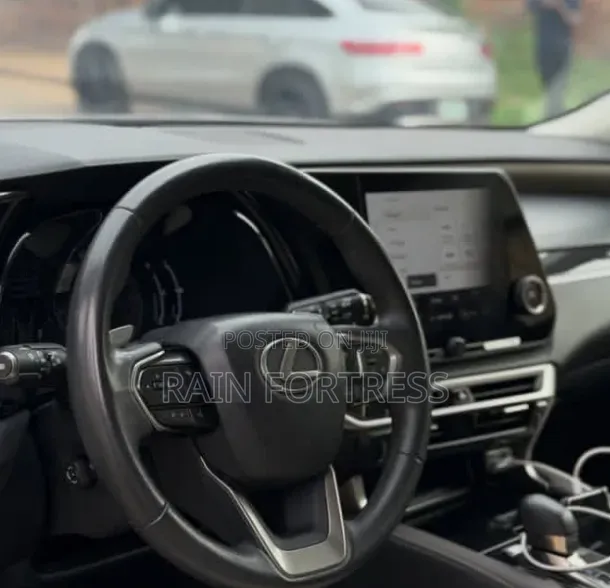 Lexus RX 2022 Gray