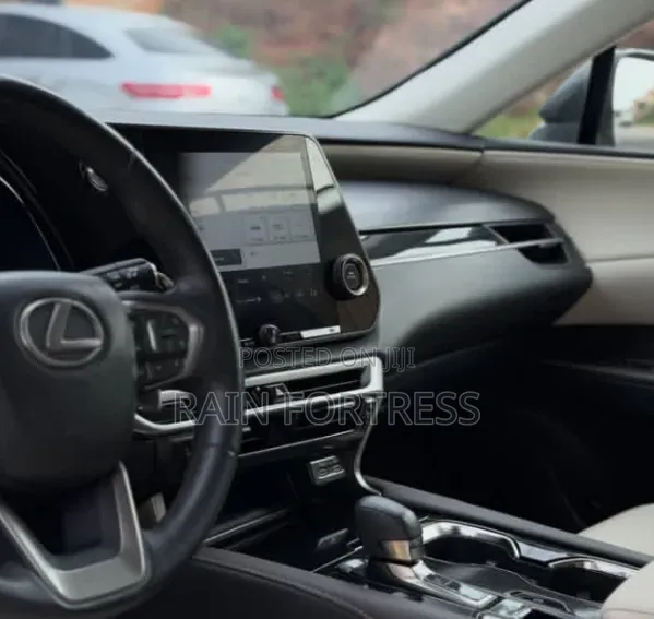 Lexus RX 2022 Gray