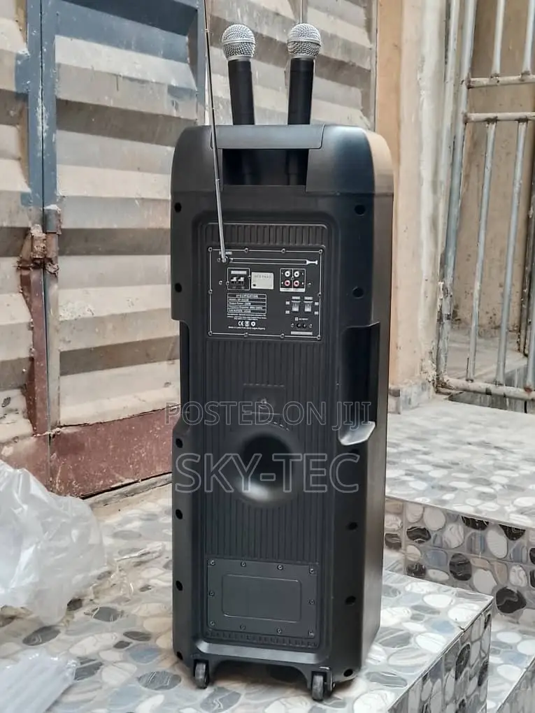 Ailipu Sound System 2handle Wireless Mic 9000w Big Battery Big Magnet