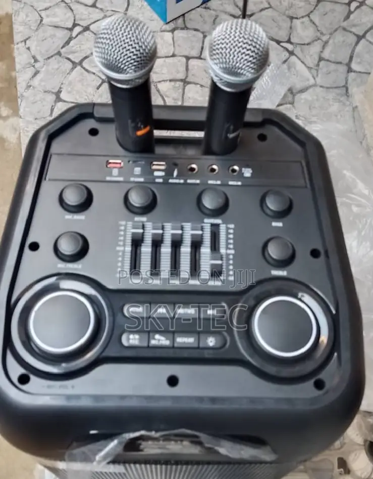 Ailipu Sound System 2handle Wireless Mic 9000w Big Battery Big Magnet