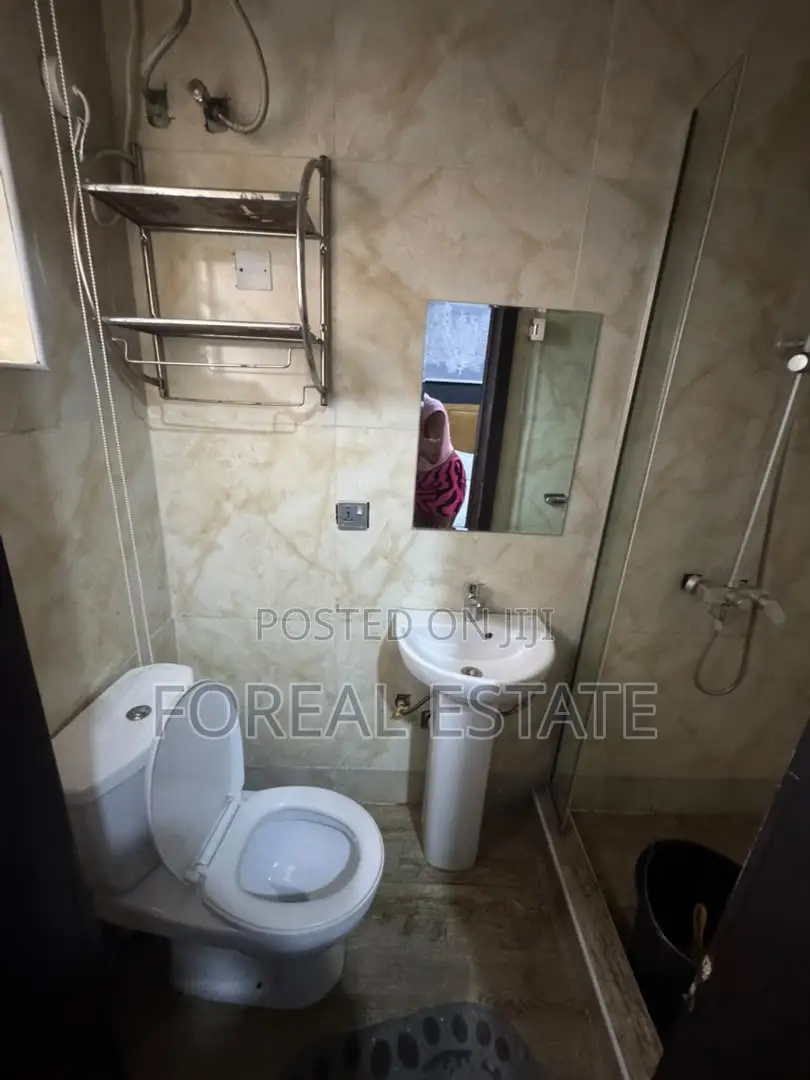 Furnished 4bdrm Apartment in Ikota for rent