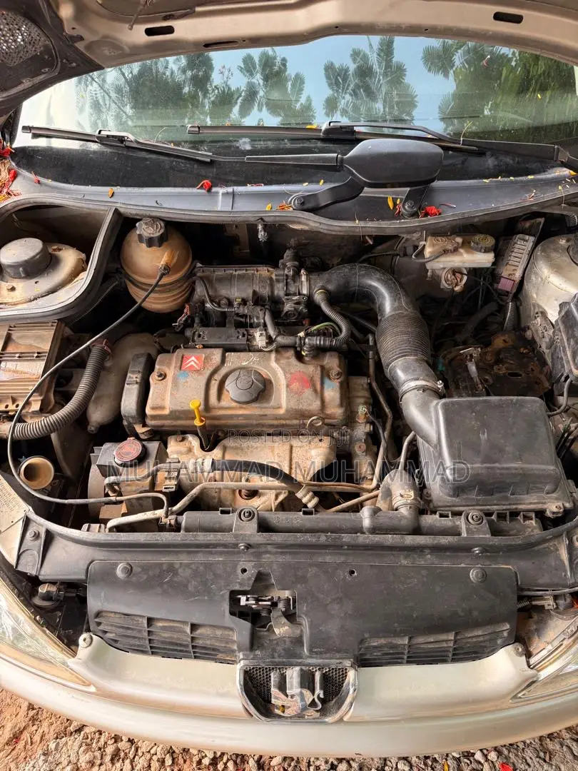 Peugeot 206 2004 Gray