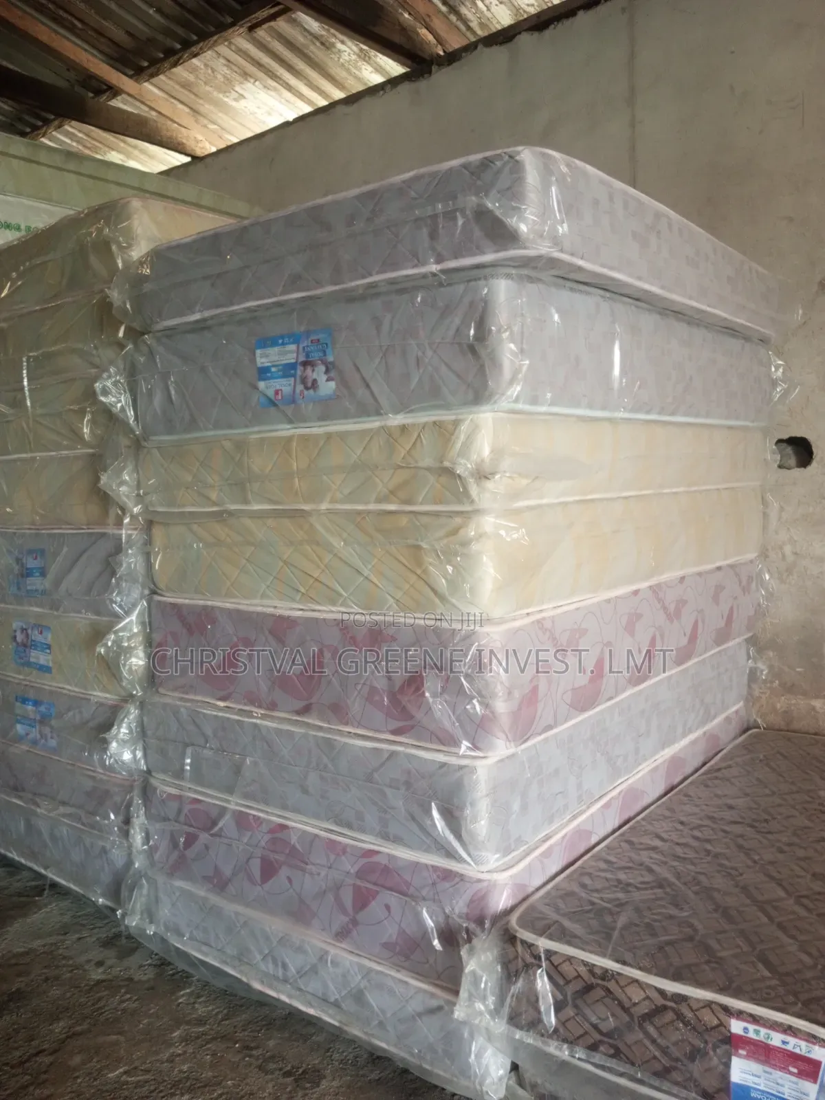 4.5x6x10 Inches Royal Gallant Plux