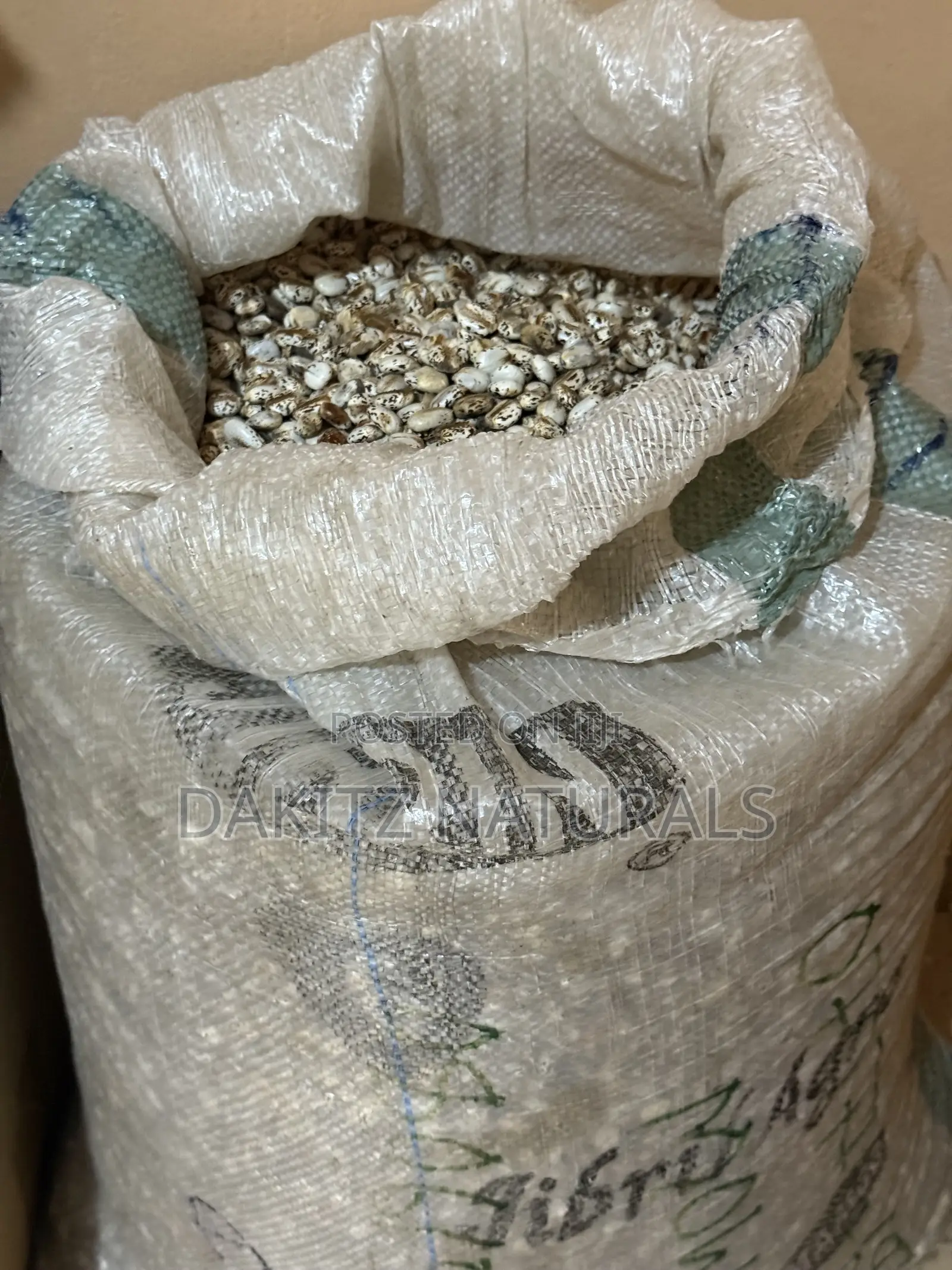 Castor Seed 100kg Bag