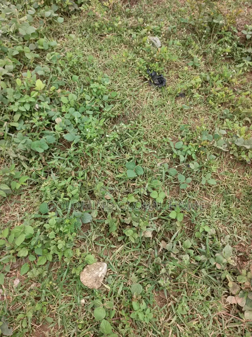1668sqm. Residential Land for Sale in Kaura District. Abuja - Nigeria
