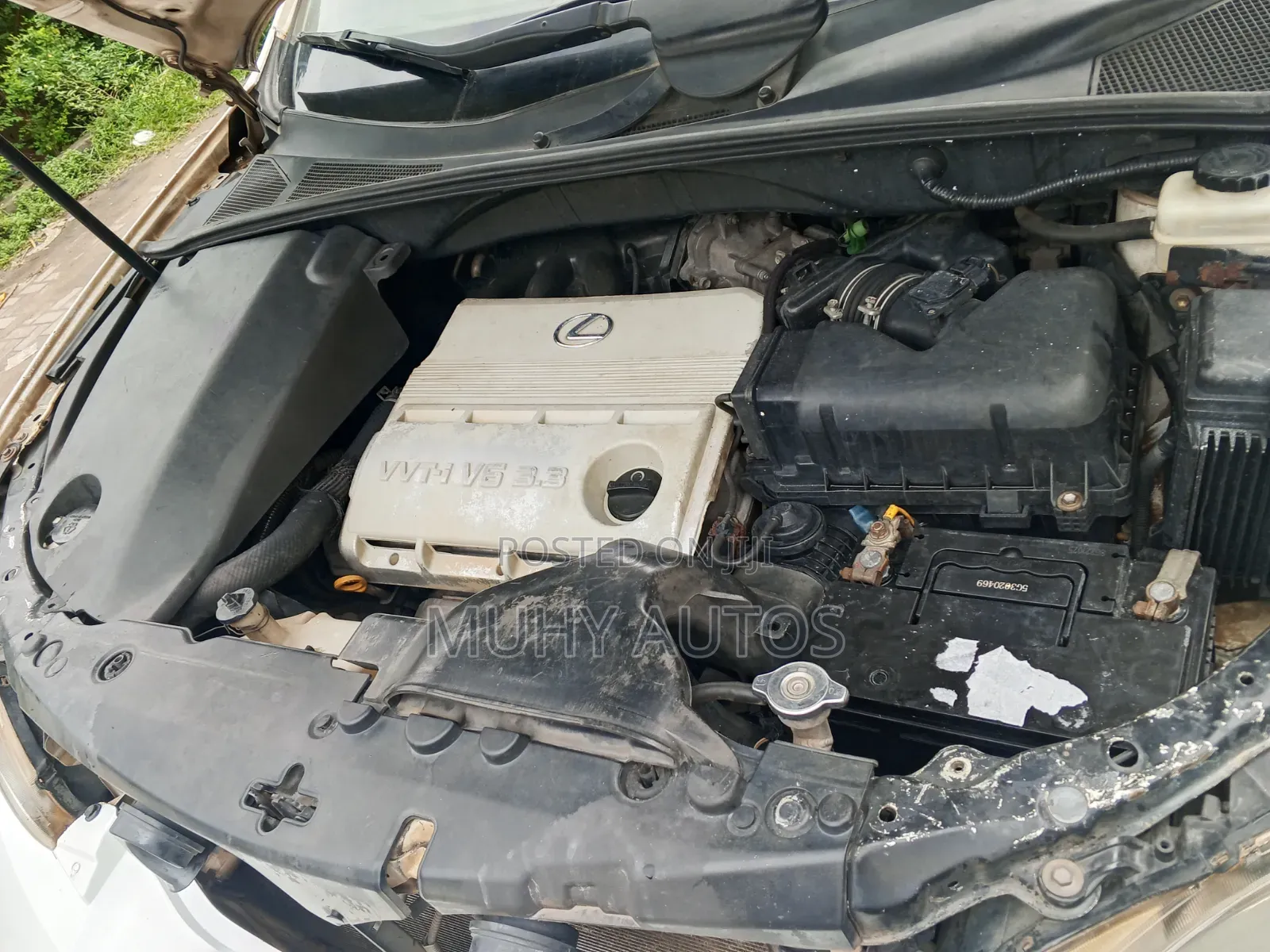Lexus RX 2005 White