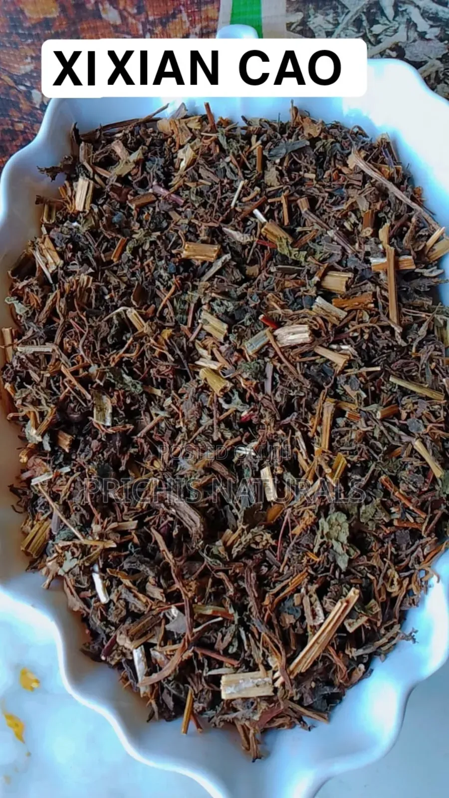 Xi Xian Cao 100g – Premium Xi Xian Cao Herb for Herbal Tea