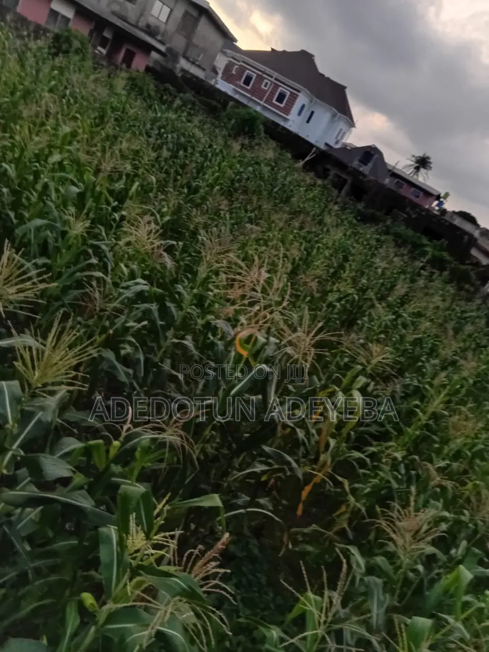 Acres of Land in Keji Crin Area Ibadan Ijebu Express