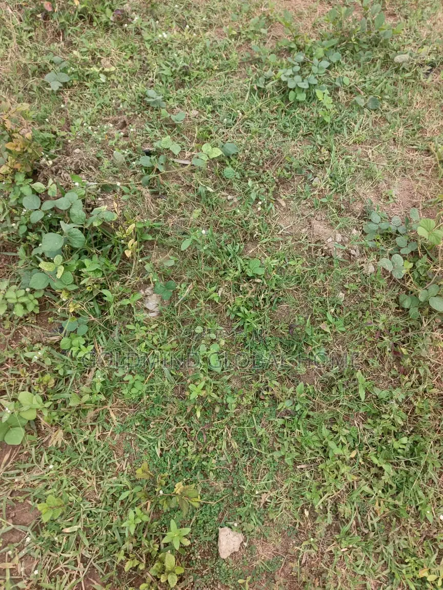 1500sqm. Fence and Gated Residential Land for Sale in Mabushi.