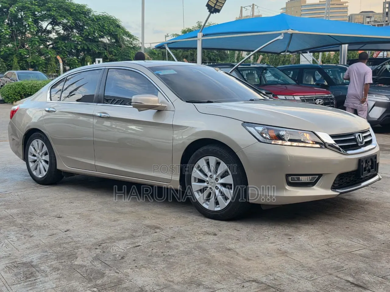 Honda Accord 2014 Gold