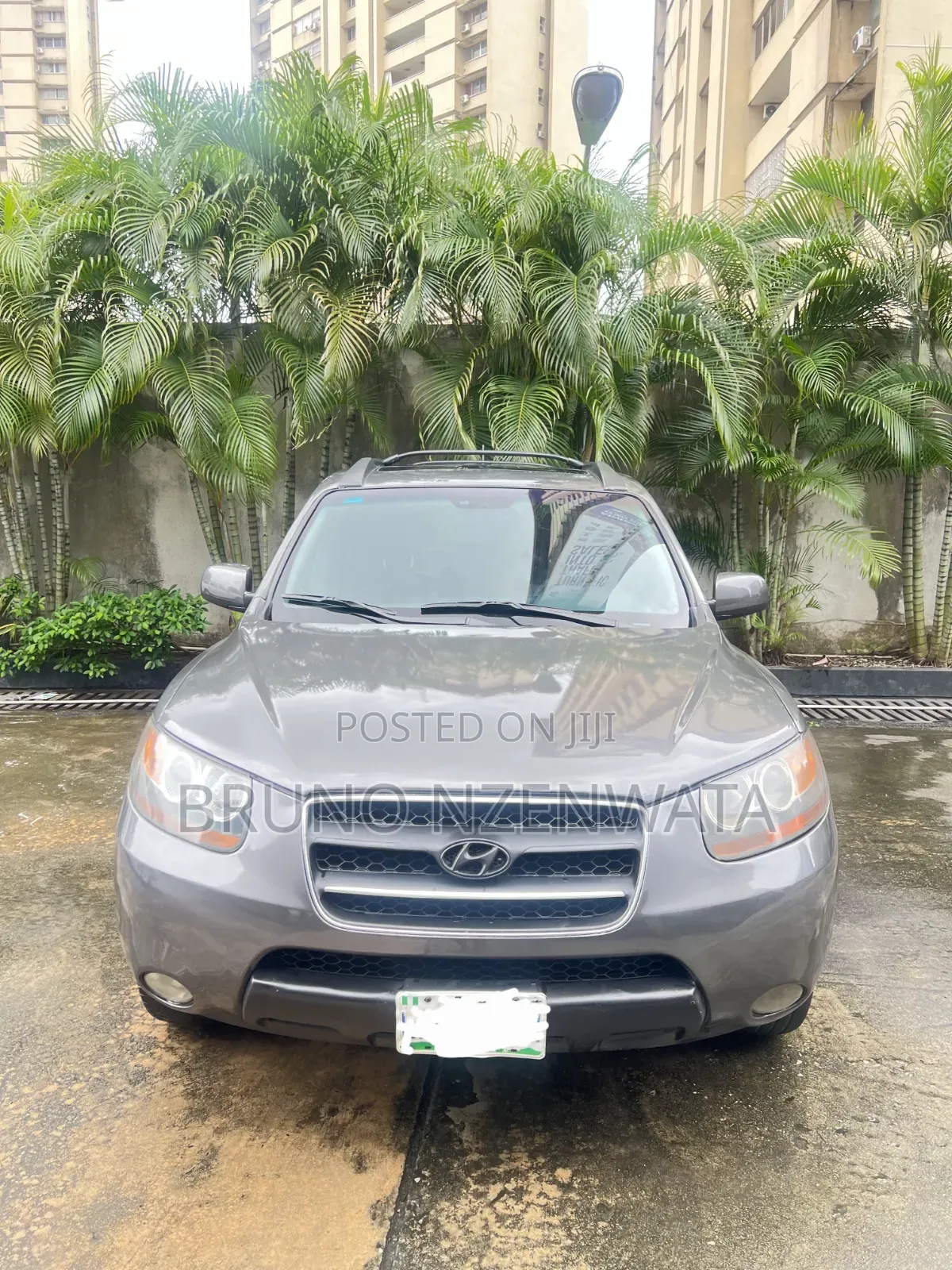 Hyundai Santa Fe 3.3 Limited 2008 Gray