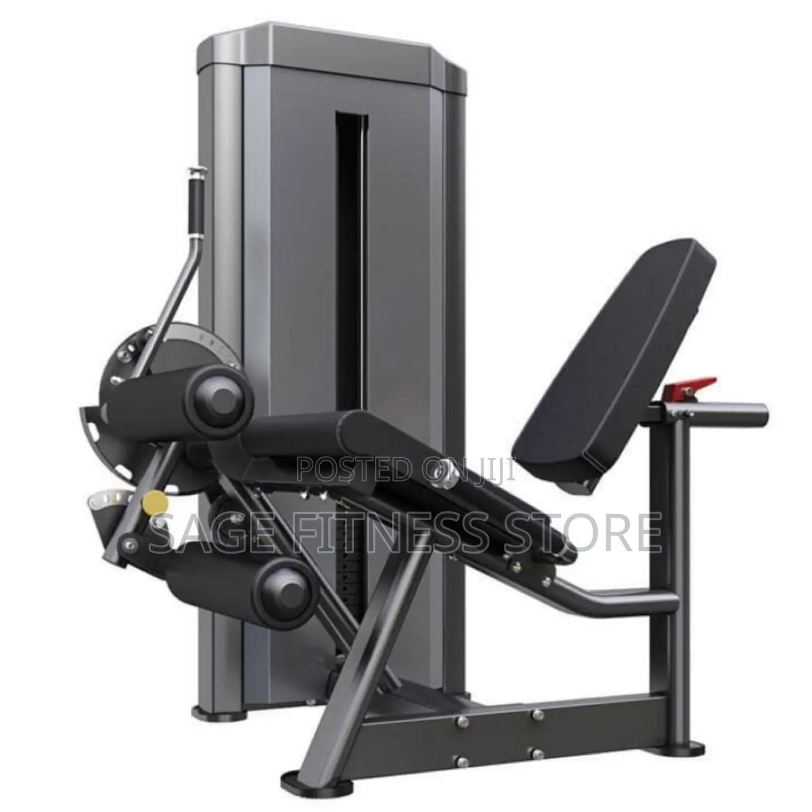 Leg Curl/Extension Machine