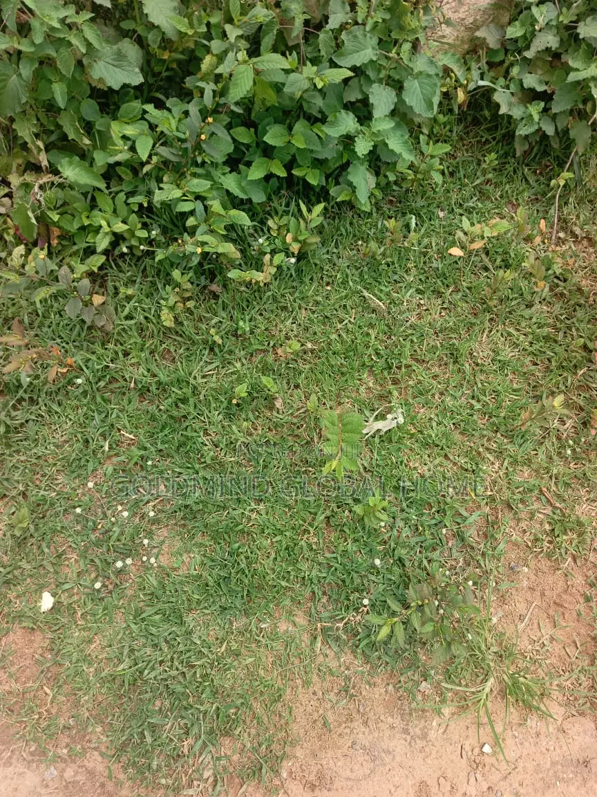 1.2 Heacters of Land in Gwagwalada for Sale. Abuja – Nigeria