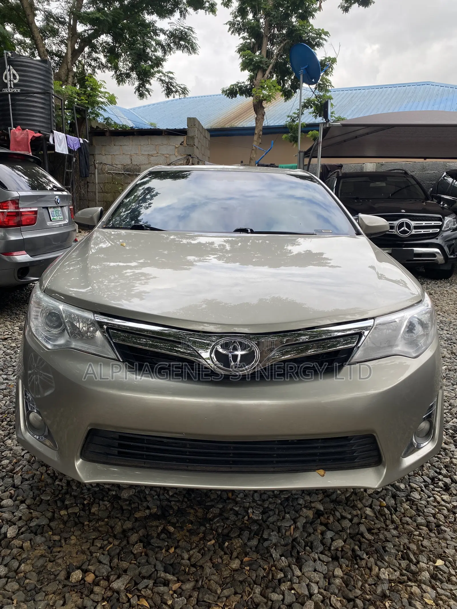 Toyota Camry XLE 4dr Sedan (2.5L 4cyl 6A) 2014 Gold