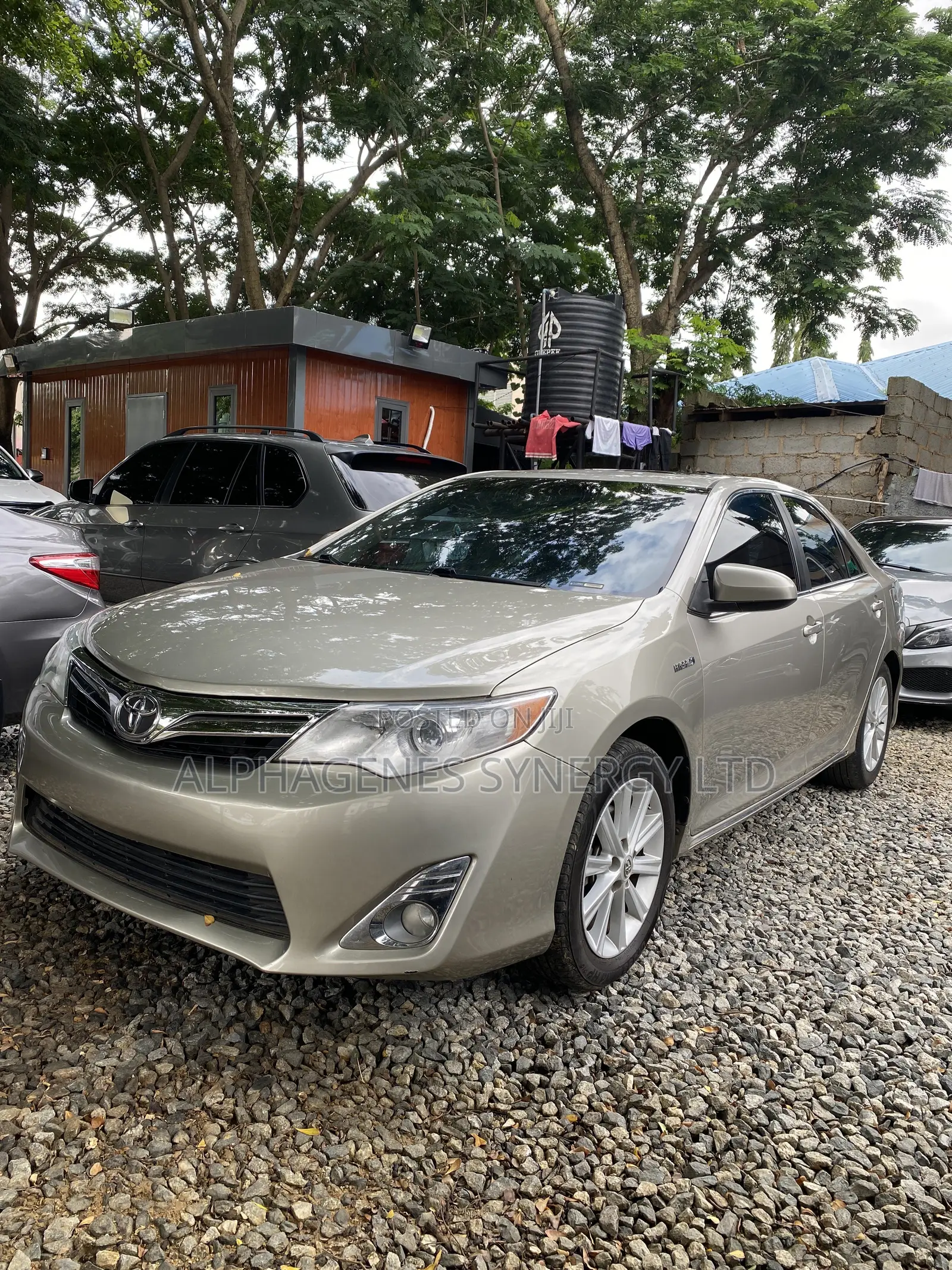 Toyota Camry XLE 4dr Sedan (2.5L 4cyl 6A) 2014 Gold