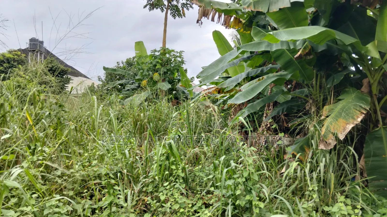 For Sale : 2 Plots on the Street, Winner's Chapel, Rumudomaya, Ph