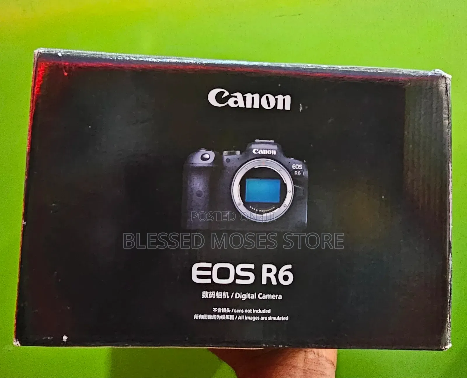 Canon EOS R6 Body