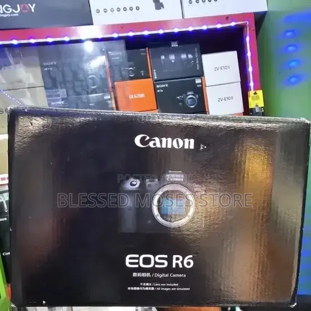 Canon EOS R6 Body
