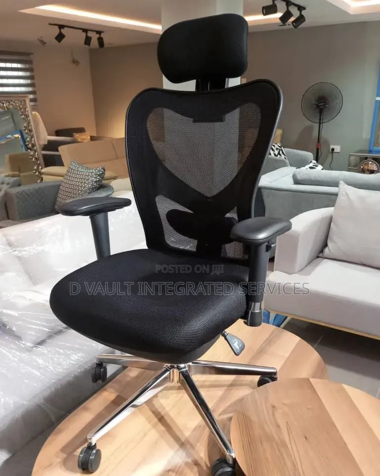 Exquisite Ergonomic Office Chair.