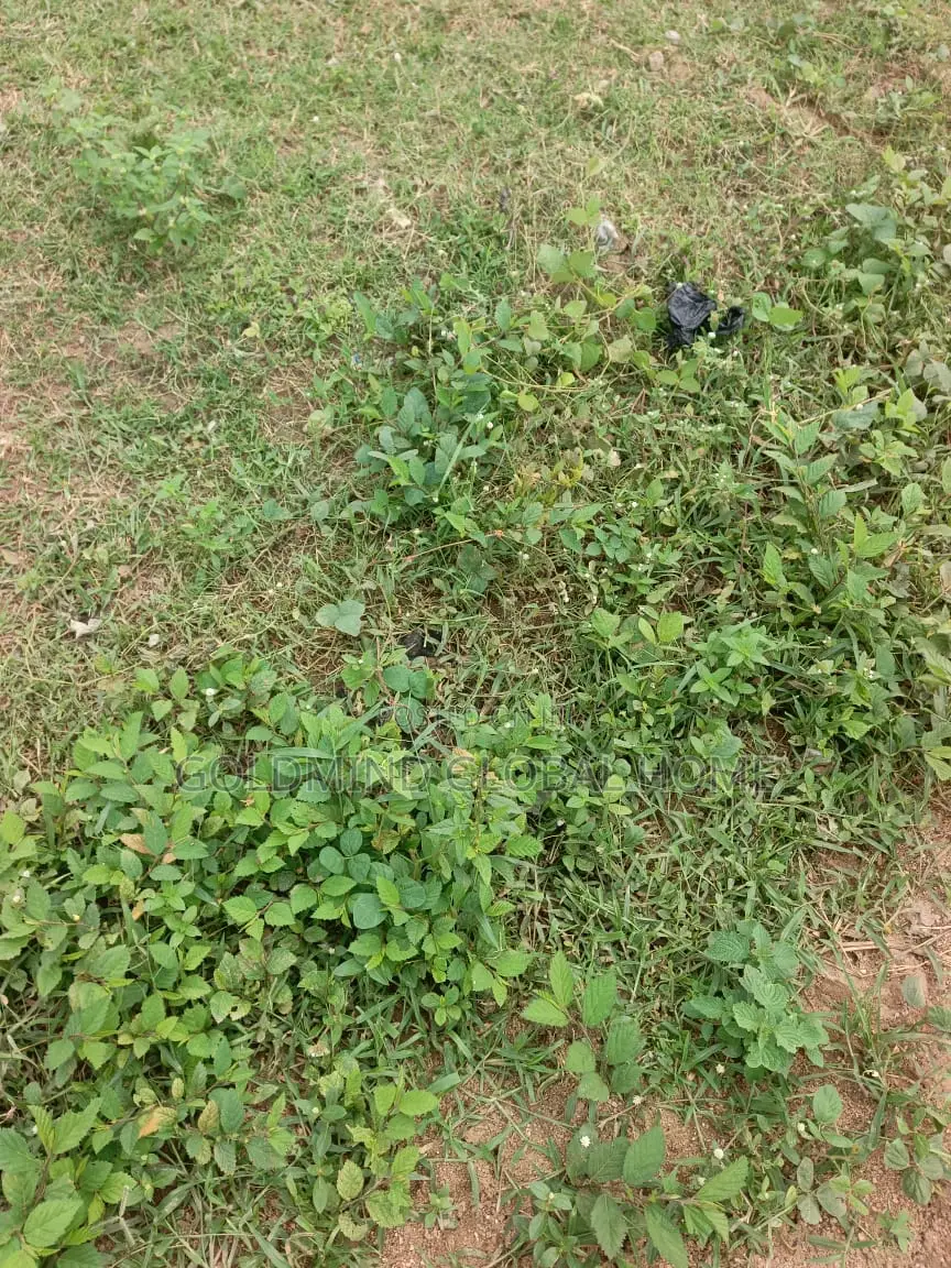 Estate Plot for Duplex Sale in Lokogoma