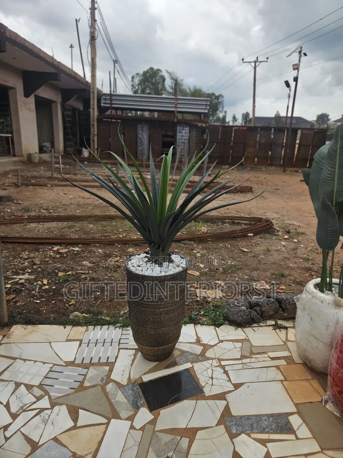 Big Potted Flower for Your Living Space