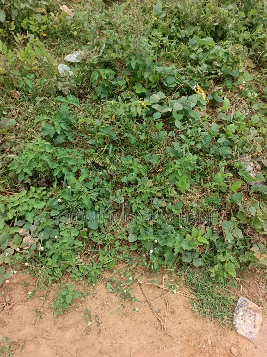 Estate Plot for Duplex Sale in Lokogoma. 750SQM