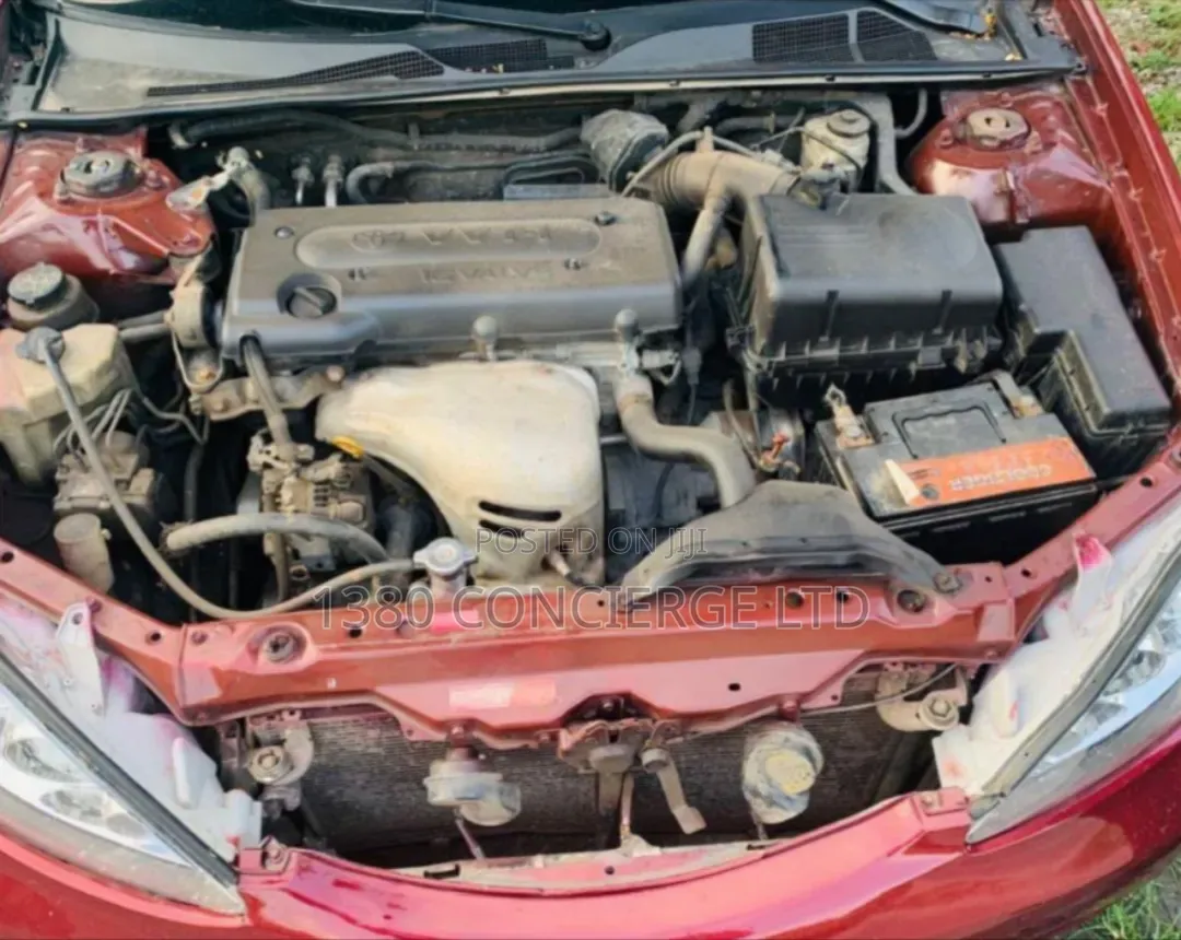 Toyota Camry 2005 Burgundy