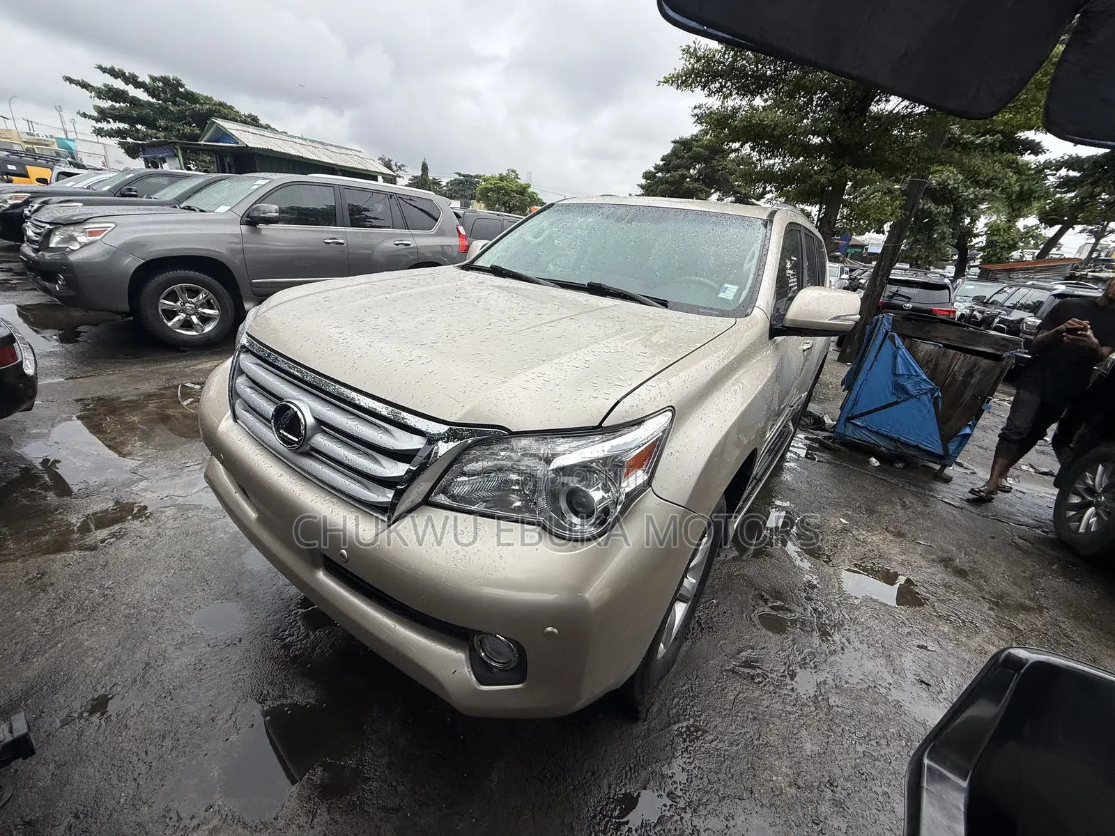 Lexus GX 460 2012 Gold