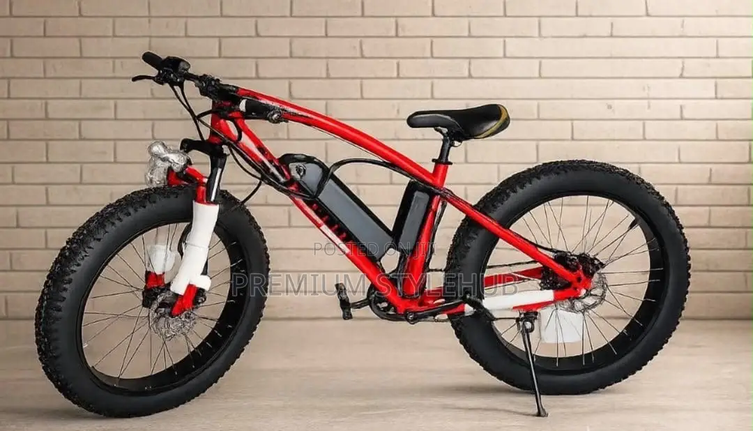Brand New Electric Bike