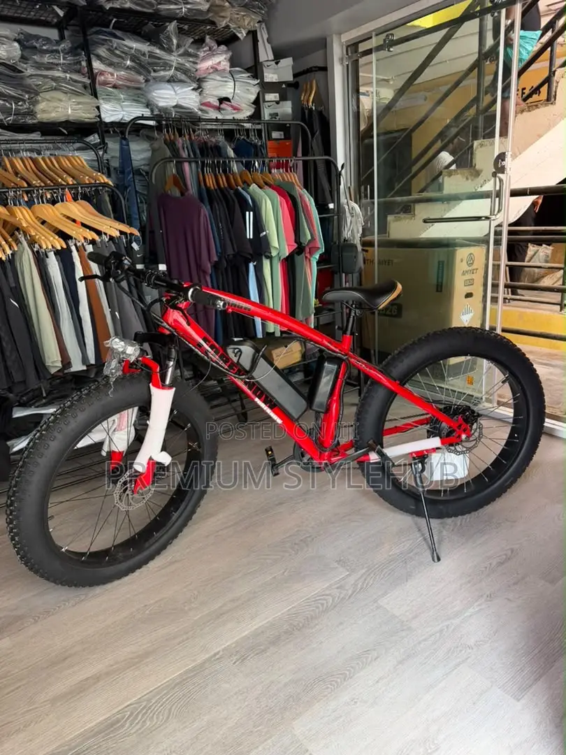 Brand New Electric Bike
