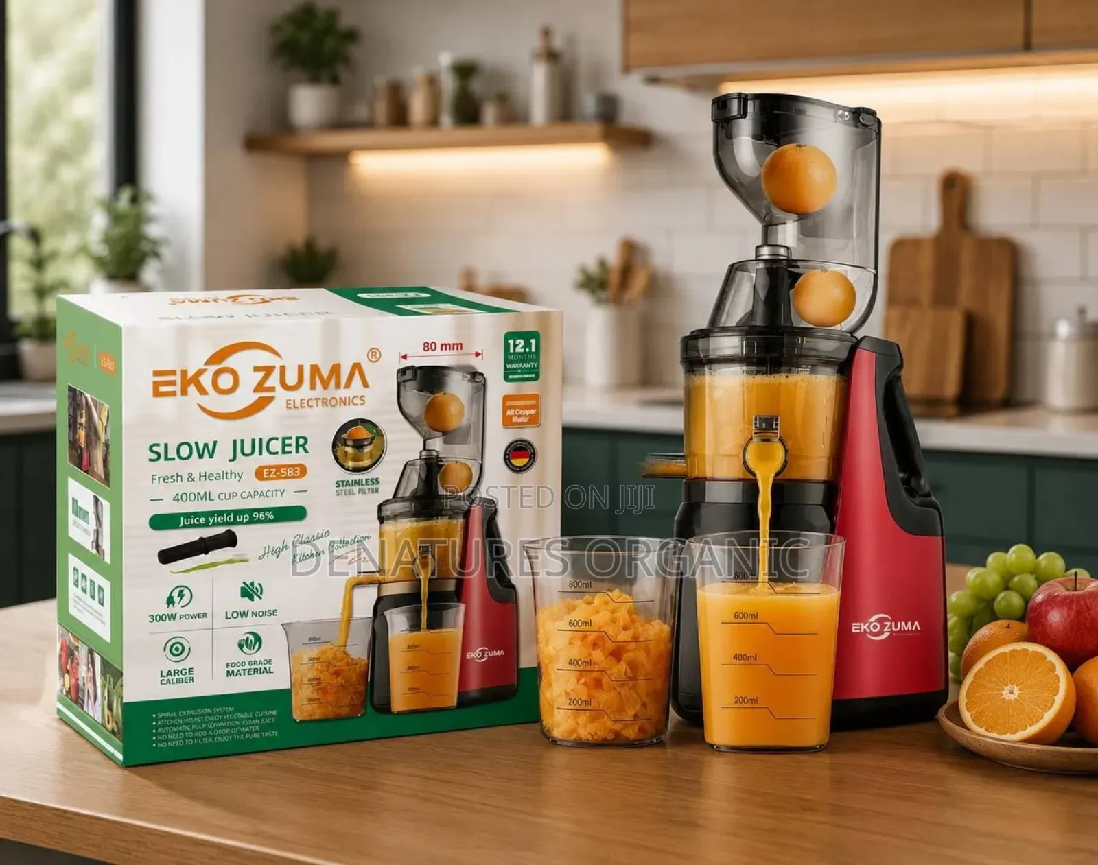 EKO ZUMA Electric Slow Juicer, Low Noise Cold Press Extractor